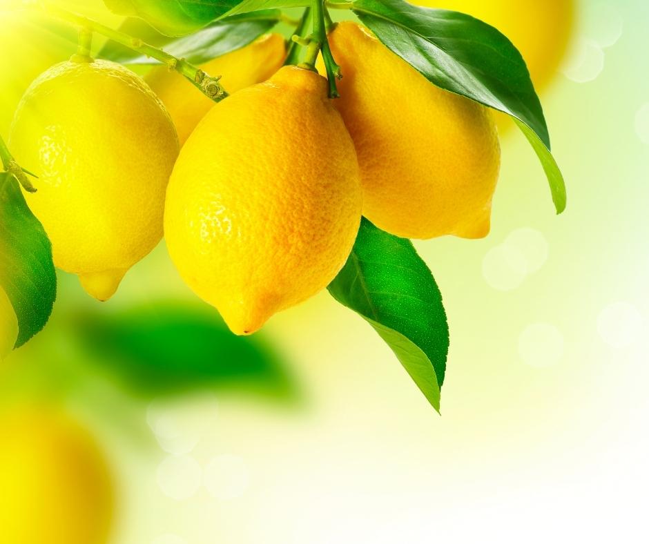 Fresh_Lemons_2