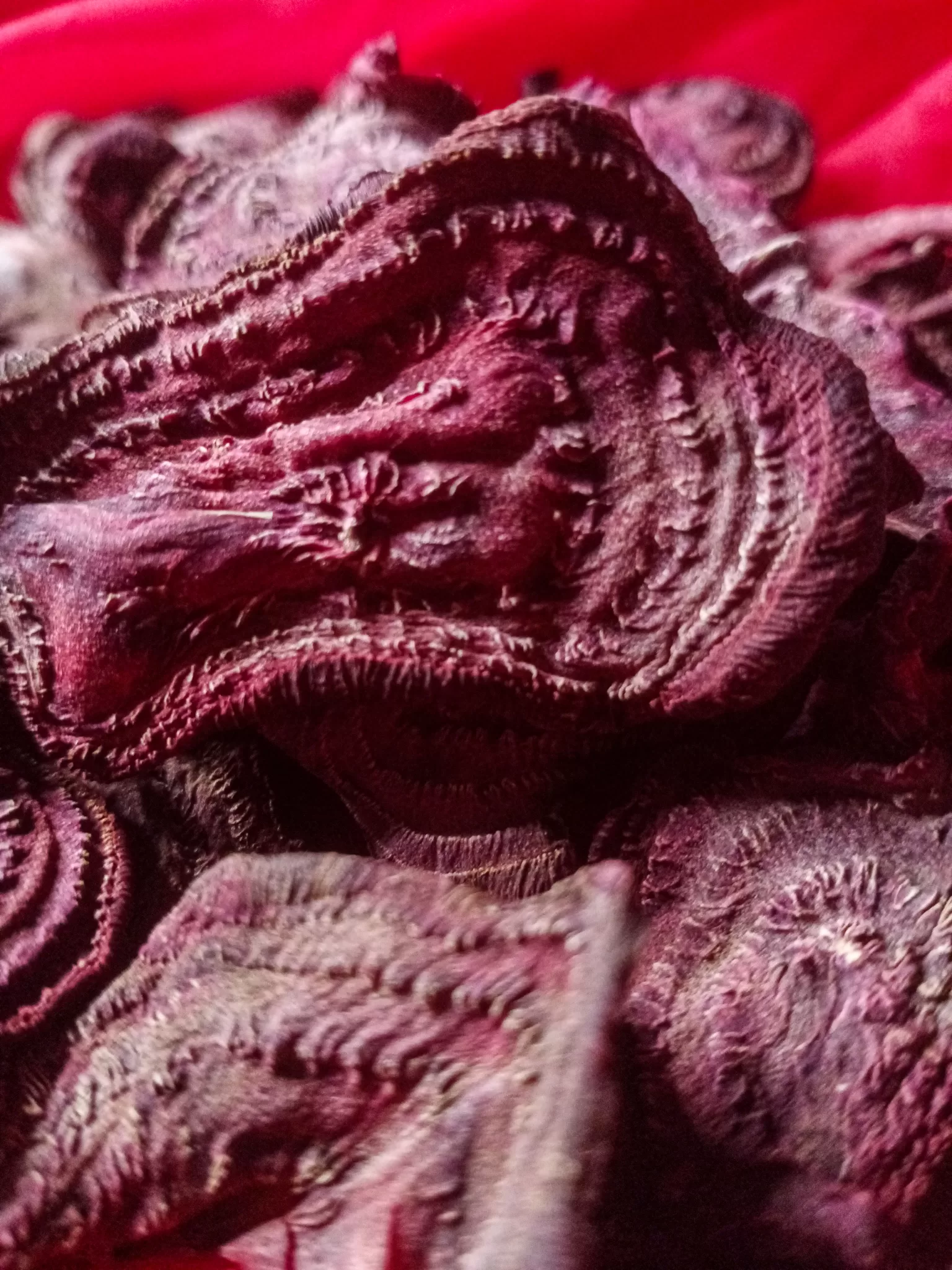 Dehydrated beet chips.